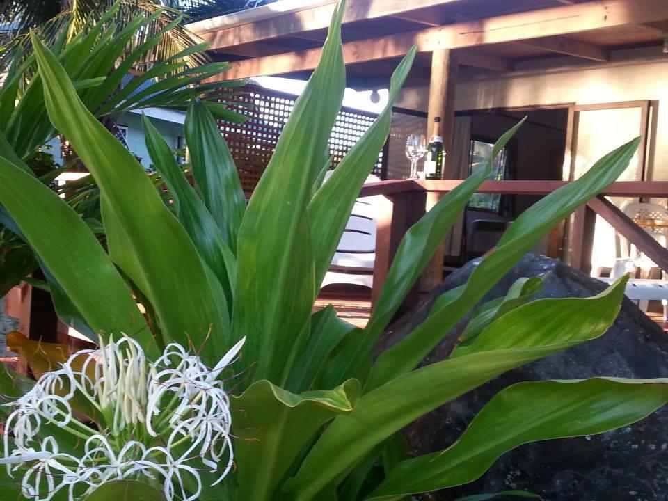 Sunset Palms Rarotonga Hotel Kültér fotó